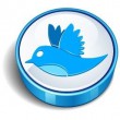 Twitter Plus for Android
